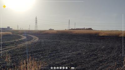 لە چەمچەماڵ پێنج دۆنم گەنم سووتا