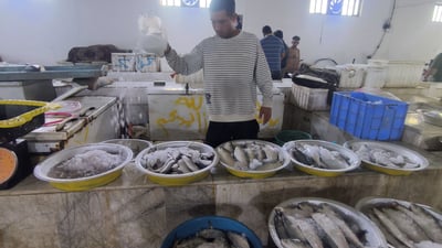 علوة الفاو غصّت بأطنان السمك.. الخشرة والمزلگ في الصدارة (فيديو)