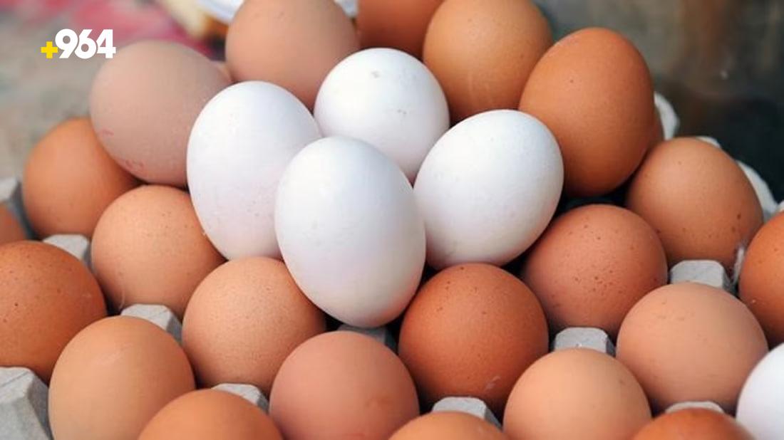 Egg prices soar in Kurdistan due to currency exchange rate fluctuations