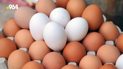 Egg prices soar in Kurdistan due to currency exchange rate fluctuations