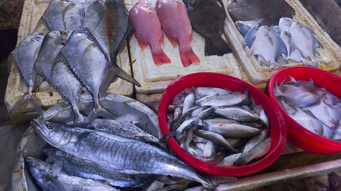 البرد يدفن الأسماك في قاع البحر.. صيادو الفاو يترقبون الدفء