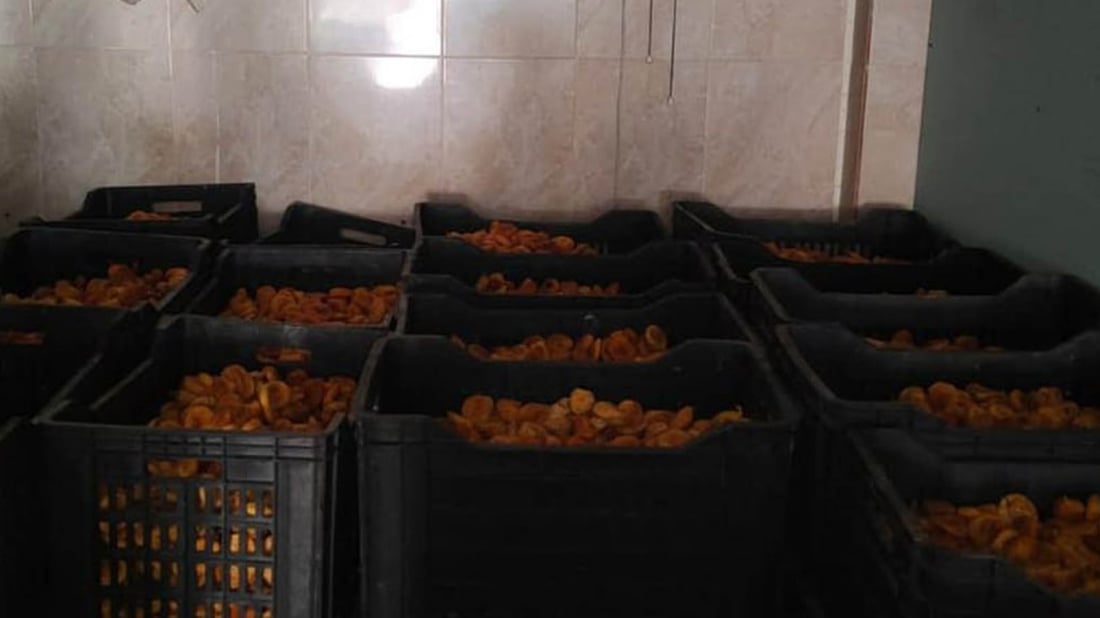 لە گەڕەکێکی هەولێر دەستبەسەر 10 تۆن هەنجیری وشکراوە داگیرا