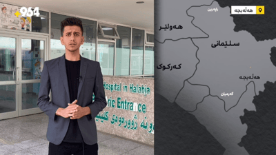 حاڵەتە تۆمارکراوەکانی هەوکردنی پەردەی مێشکی منداڵان