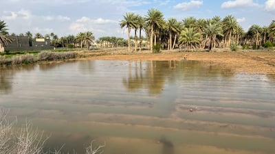 الموارد: خزين العراق المائي 8% فقط وسنوزع الحصص بشكل عادل بين المحافظات