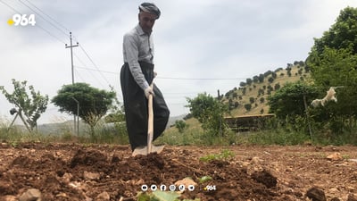 لە زۆرینەی زەوییە کشتوکاڵییەکان بە قەرز دەست بە چاندن کراوە
