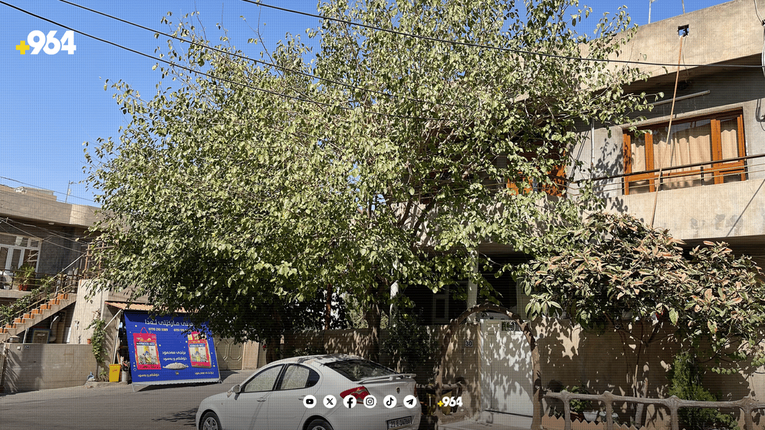 ئەگەر داری بەردەم ماڵەکەت هەڵپاچیت و وشک ببێت سزا دەدرێیت