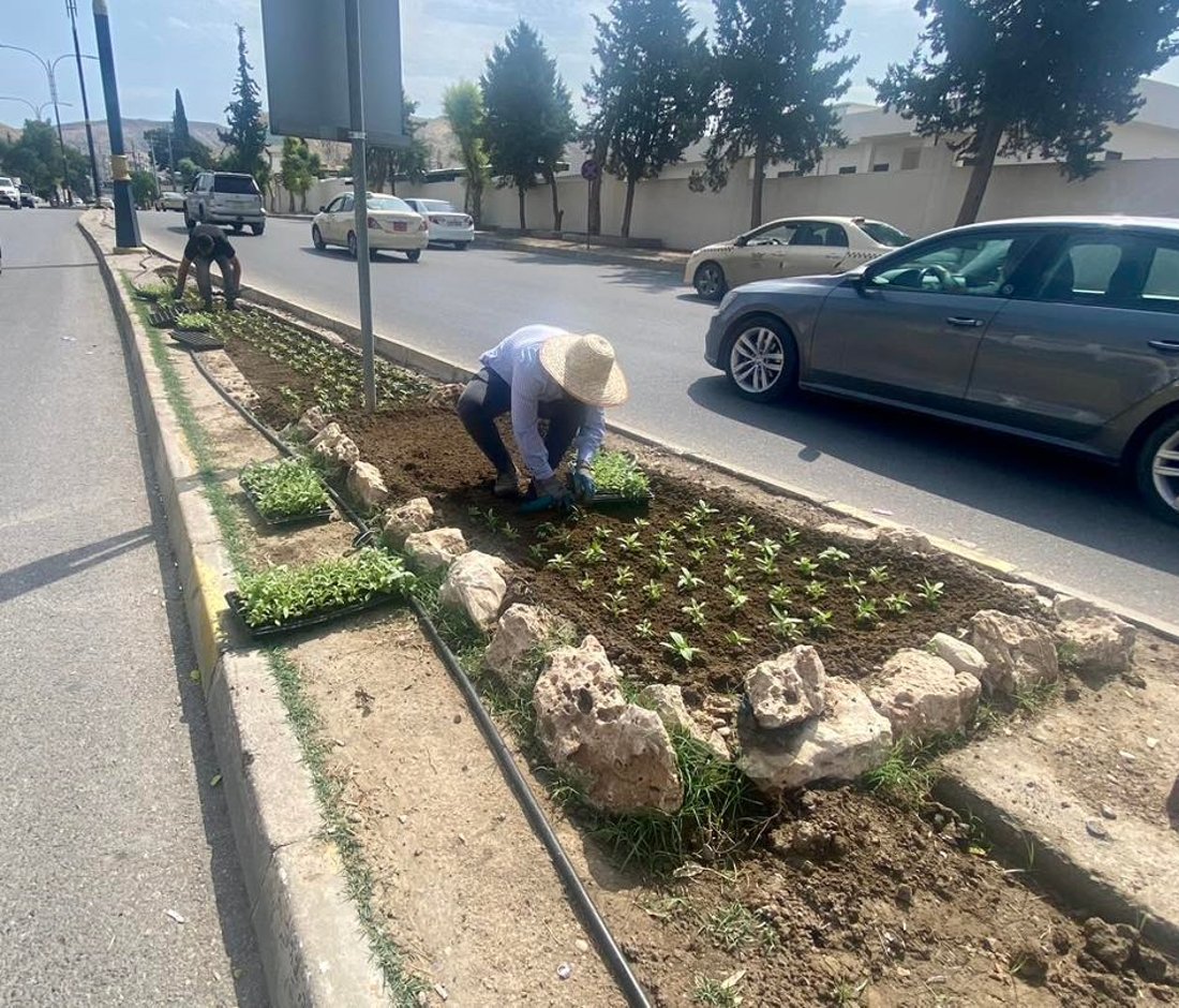 شەقامەكانی دهۆك بە گوڵ دەڕازێنرێنەوە