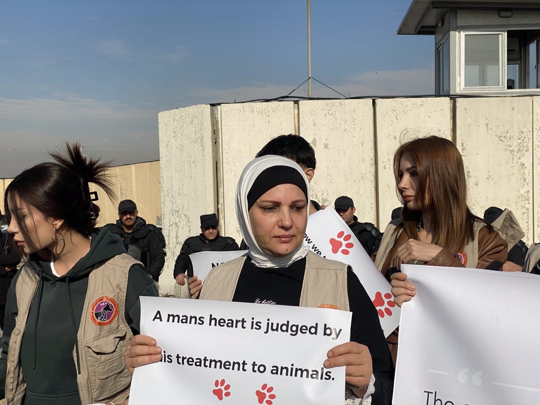 ئاژەڵدۆستان دژی کوشتنی سەگ لەبەردەم بارەگای یو ئێن گردبوونەوە