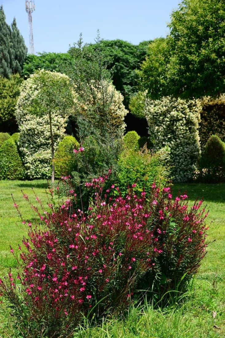 صور: منتزه “كل كند” وسط أربيل يتزين بأكثر من 9000 شجرة و 20 نوعاً من الأزهار