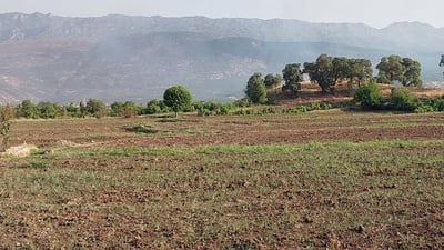 لە گوندێکی دهۆک 150 پارچە زەوی لە بەردەم مەترسی وشکبووندان