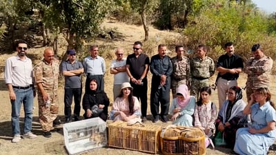 له‌ چالاكییه‌كى ژینگه‌ییدا چەندین ئاژەڵ و باڵندە گەڕێندرانەوە ناو سروشتی قه‌ڵادزێ