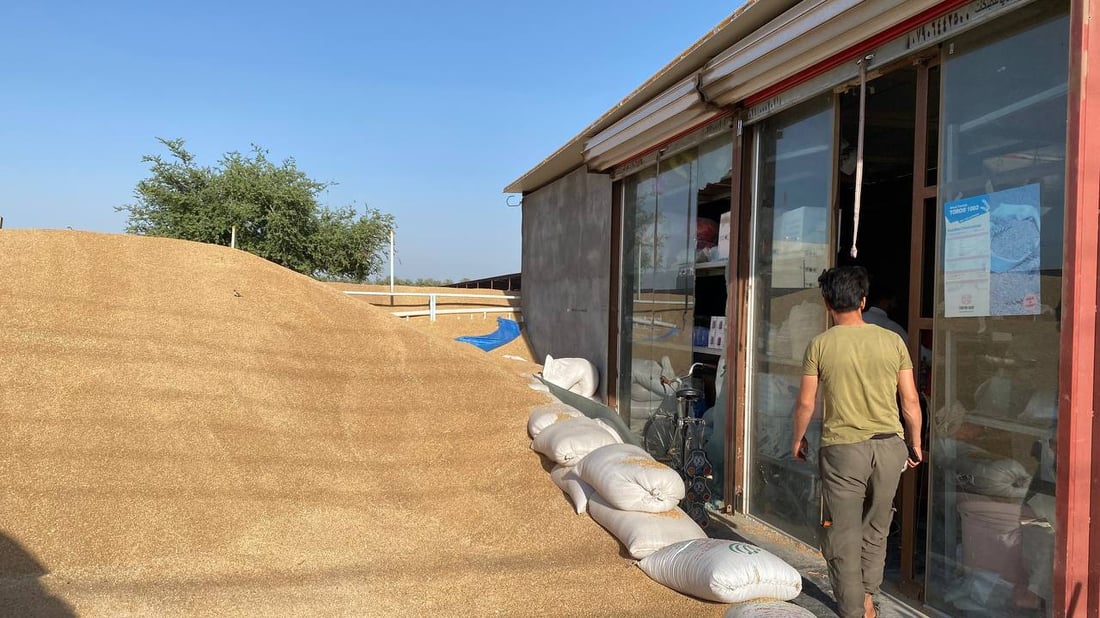 مكاتب الزراعة “حل وسط” لمزارعي أبو غريب بعيداً عن طوابير سايلو خان ضاري