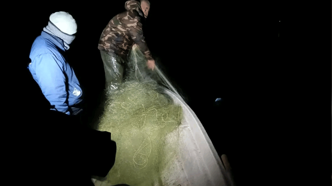 له‌ ئاوى دوکان ده‌ست به‌سه‌ر ژماره‌یه‌ك تۆڕى ماسیدا گیرا