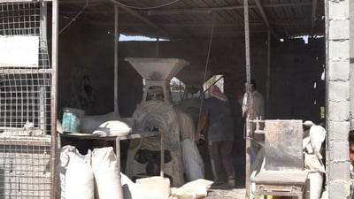 Stone mills in Anbar village keep tradition alive with bran-rich ‘Arab flour’
