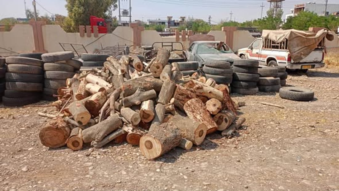 پۆلیسى گەرمیان بارێک دارى بۆ فرۆشتن داناوە