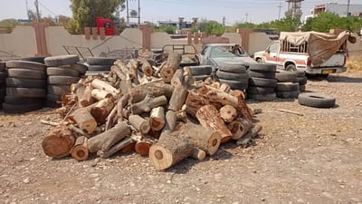 پۆلیسى گەرمیان بارێک دارى بۆ فرۆشتن داناوە