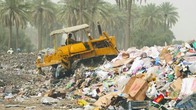 تحويل معسكر الرشيد إلى غابات.. البيئة أغلقته بالكامل وعرضته للاستثمار
