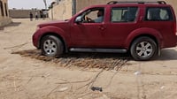 شاهد: السيارة تسحق قصب الهور لتظهر المادة البيضاء وتُص