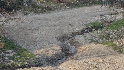 رێگەی چوون بۆ دارستانە دەستکردەکەی زەڕایەن وێرانە