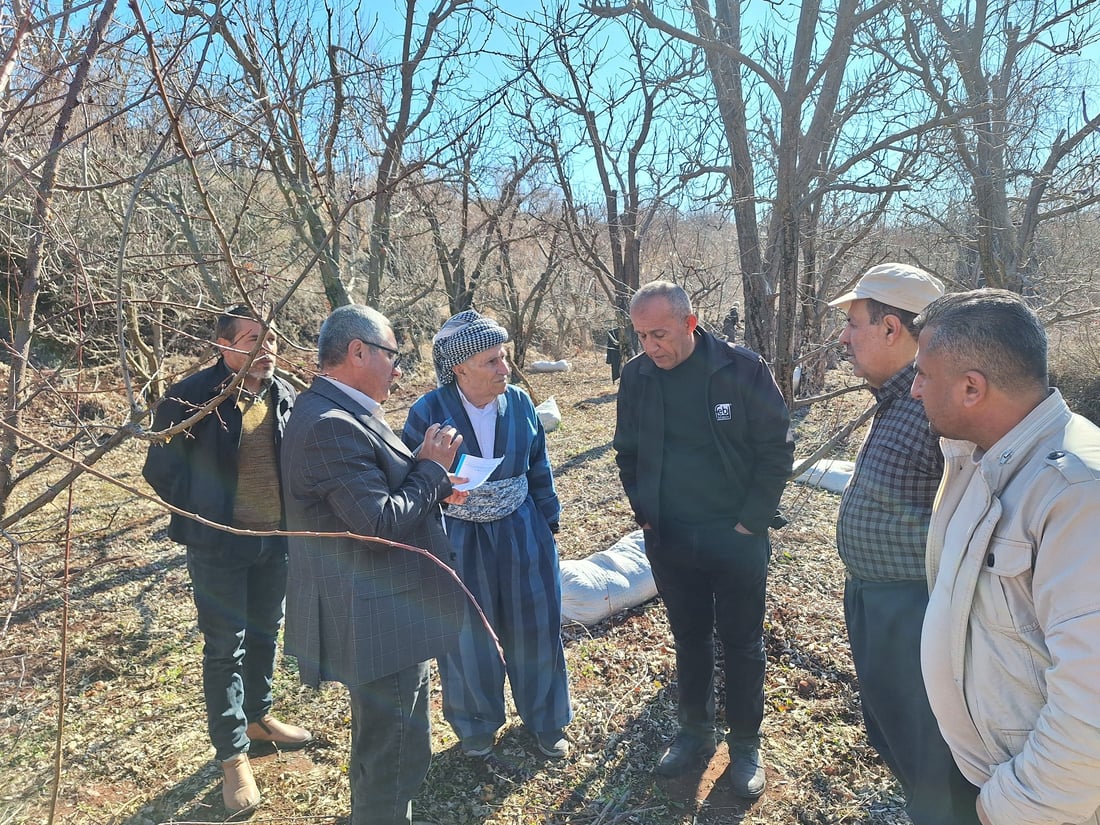 هه‌ر له‌ ئێستاوه‌ نیشانه‌ى چه‌ند نه‌خۆشییه‌ك له‌سه‌ر سێوه‌كانى به‌روارى باڵا ده‌ركه‌وتووه‌
