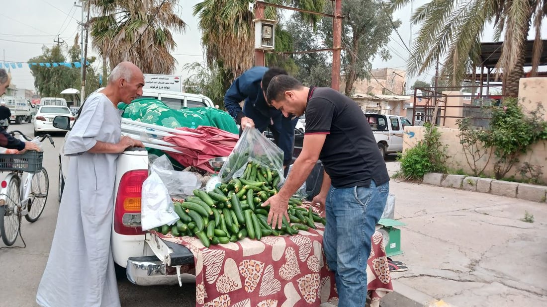 صور من داخل بيوت الخيار العراقي.. مذاقه حلو ورائحته شهية ولا مقارنة مع المستورد