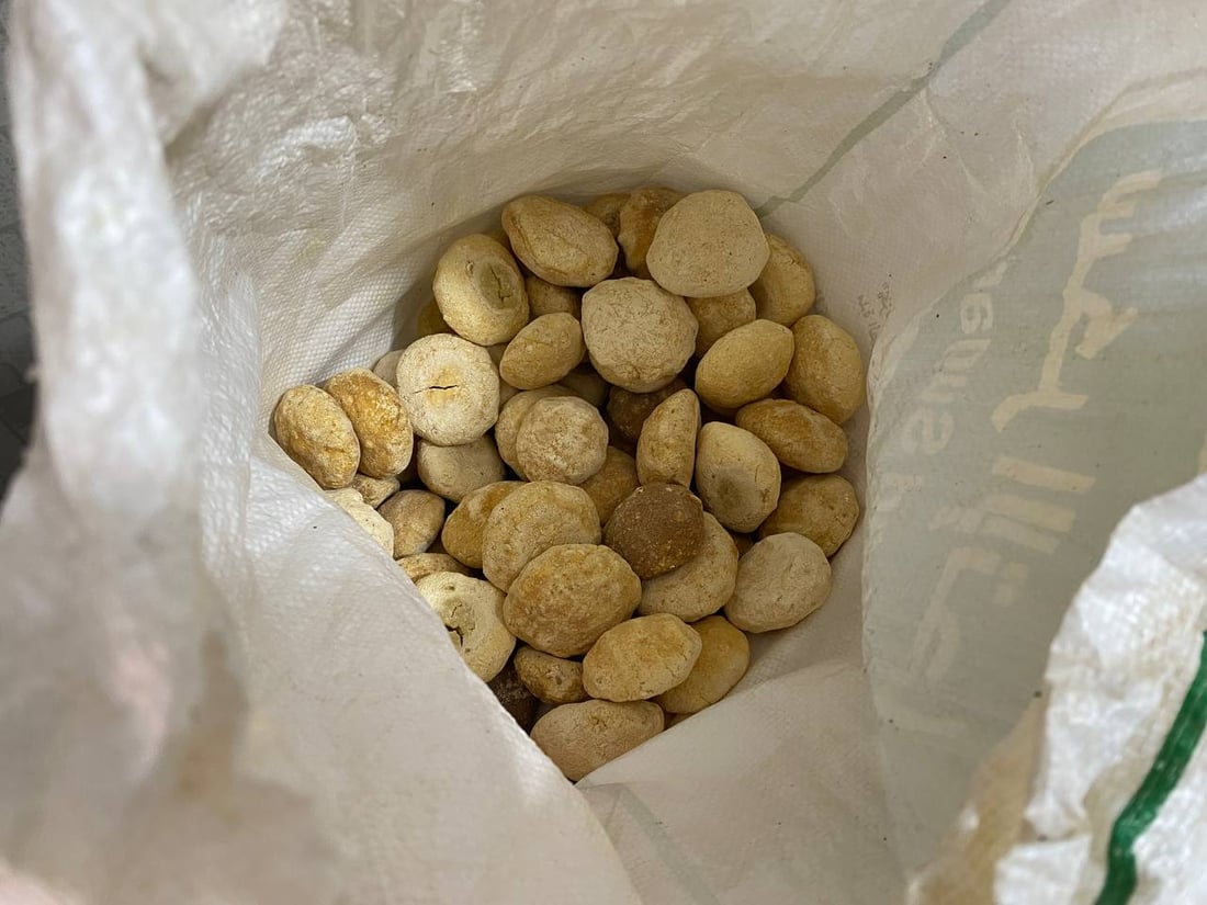 “الچثي” المالح الحامض يعود إلى هيت بوفرة.. اختفى عاماً كاملاً بسبب الجفاف (صور)