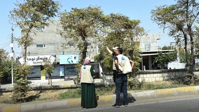درەختەکانی گەڕەکی شارەوانی هەڵەبجە نەخۆشن