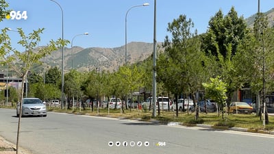 ویستی ناوبژی بکات بە چەقۆ کوشتیان