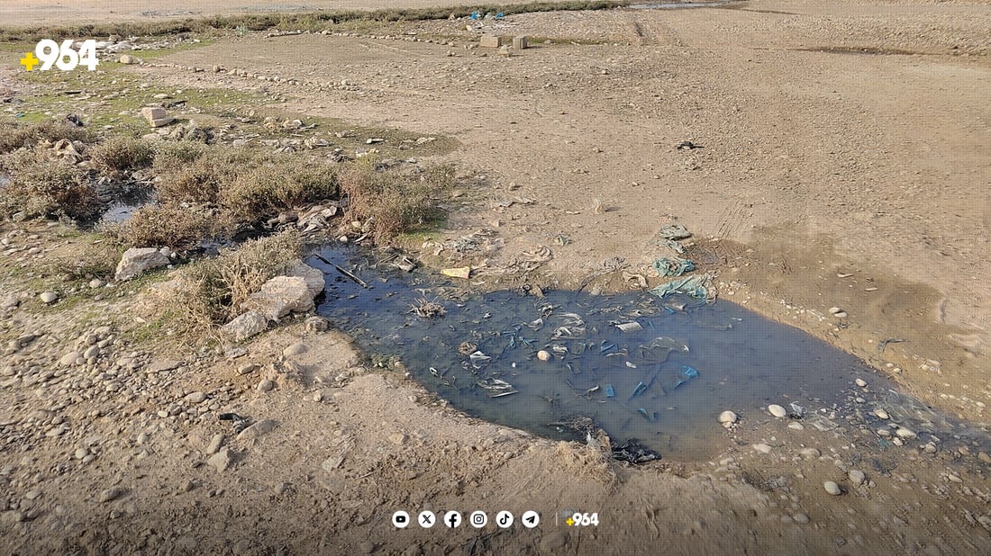 گەڕەکی سەنگاوییەکان لە زستان و لە هاویندا لەخۆیان بێزارن