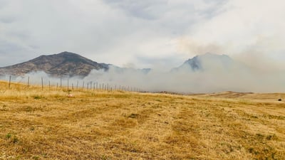 ئاگرەکەی برادۆست کۆنتڕۆڵکرا و رێگری لە سوتانی چوار گوند کرا