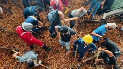 صور: إنقاذ عمال دفنوا تحت أطنان من التمور بعد انهيار مخزن في الحسينية