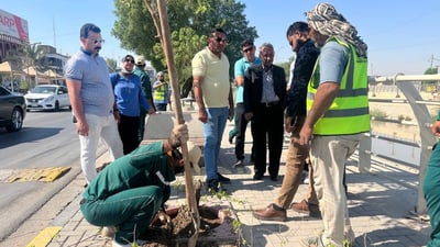 للبصرة رأي آخر في التشجير.. نحب “ألبيزيا” لكننا سنستعيد غابات الأثل (فيديو)