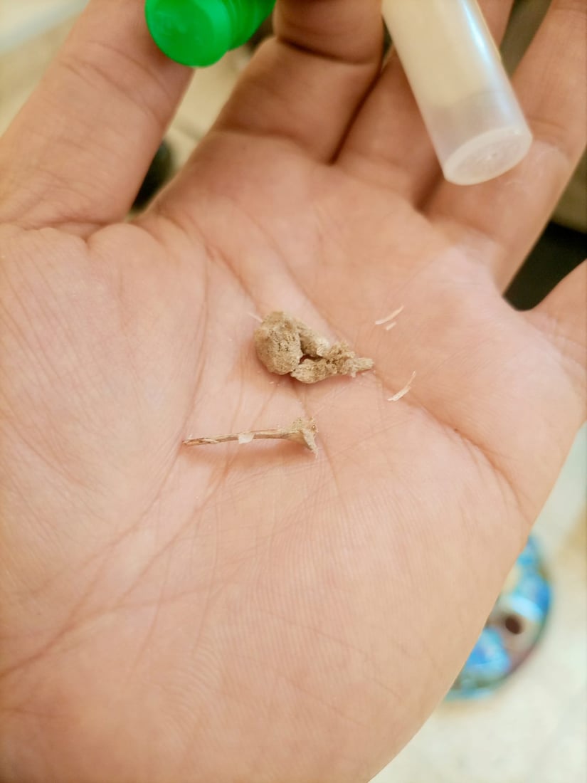 صور متداولة
