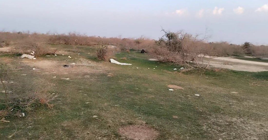 “الكشاتة” تلوث “أم الأحراب”.. صحراء السماوة خضراء وغاضبة جداً (صور)