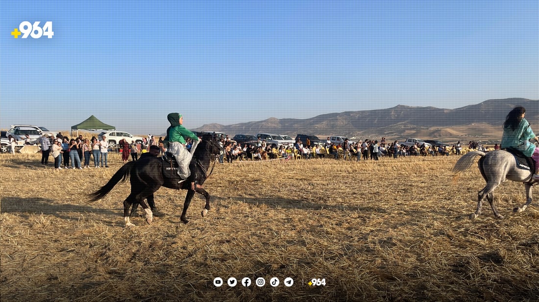 فێستیڤاڵێک بۆ ئەسپی رەسەنی کوردی لە سلێمانی بەڕێوەچوو