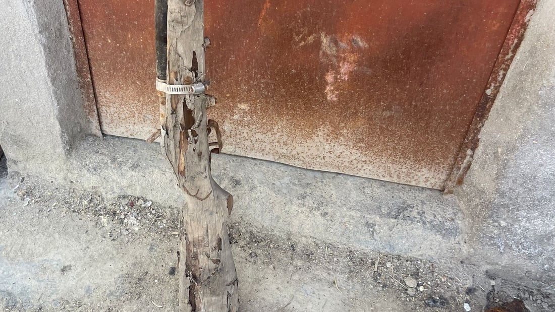 صور: النوزل بندقية من “سكراب صدام” أنقذت الصيادين من جوع الحصار
