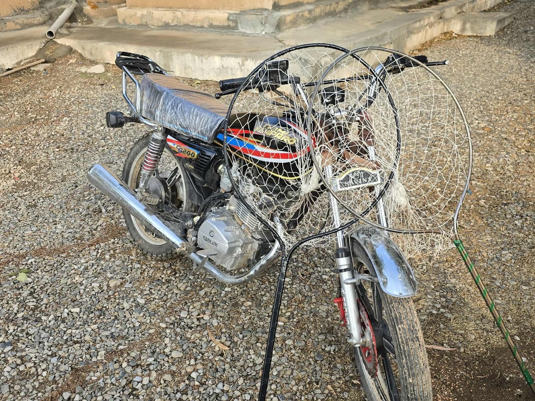 لە پیرەمەگروون و تەکیە 10 راوچی قۆڵبەست کران