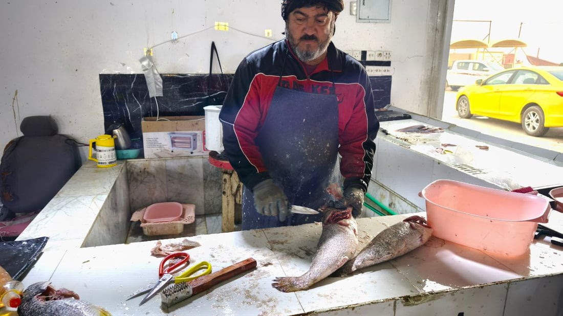 السبيطي والهامور وصلا مرسى النقعة.. قائمة بأسعار اليوم (صور)