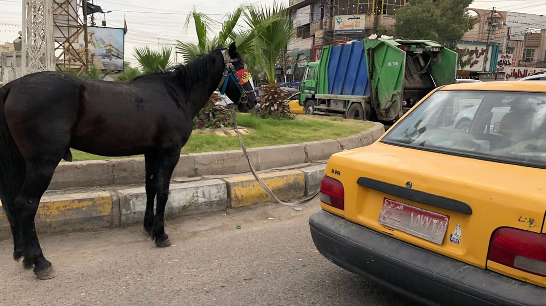 بغداد: سايبا تجر حصاناً مع صور “غريبة” كثيرة.. ماذا يحدث في شرق القناة؟