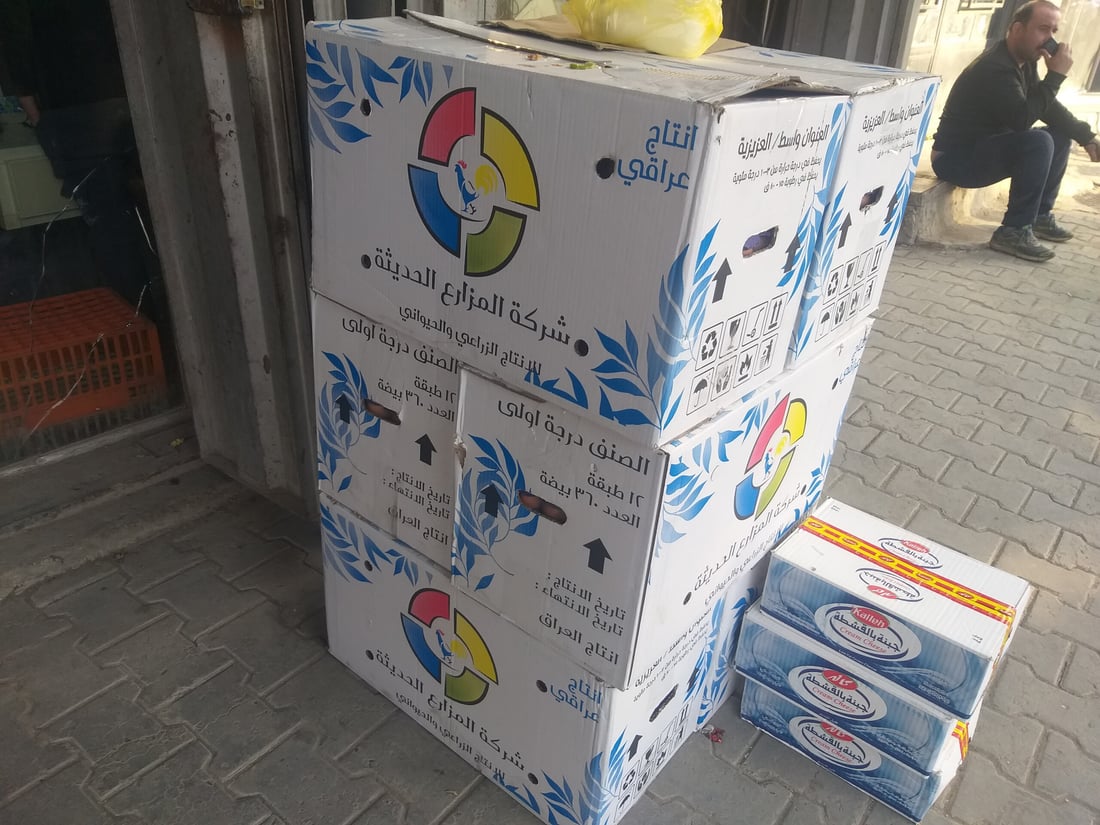 بغداد: البيض يعود إلى رشده في الحرية.. الطبقة بـ4500 وقد تنخفض أكثر