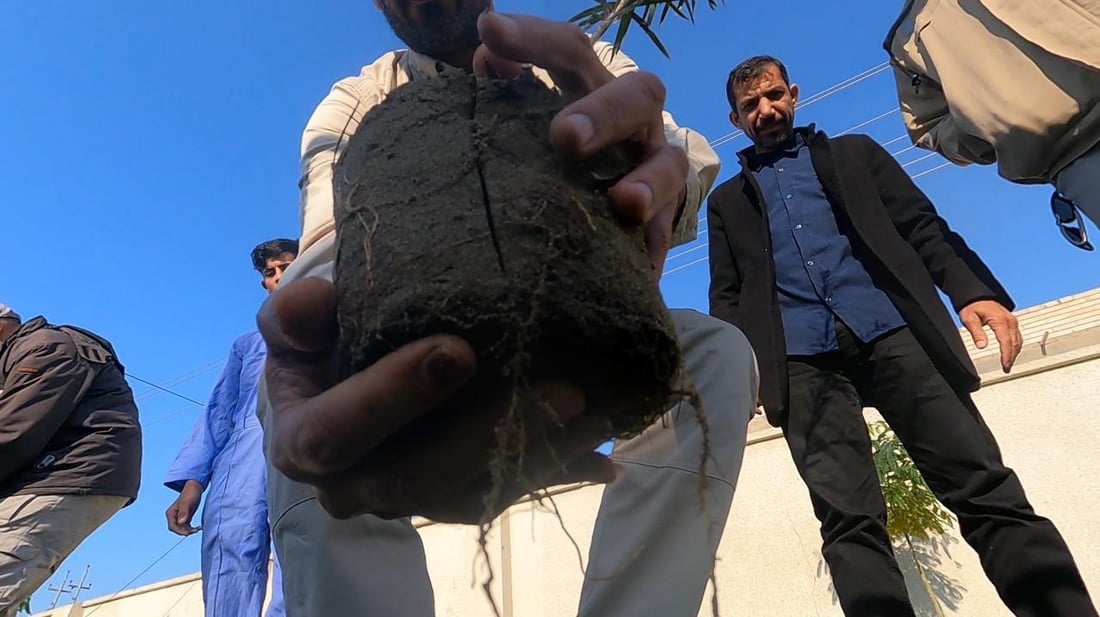 الأطفال سعداء.. عملاق النفط الروسي يزرع مدارس الهوير بالثيل والأشجار (صور)