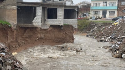 باراناو وا خەریکە پێ بە خانوویەکی هەیکەل لێژ دەکات