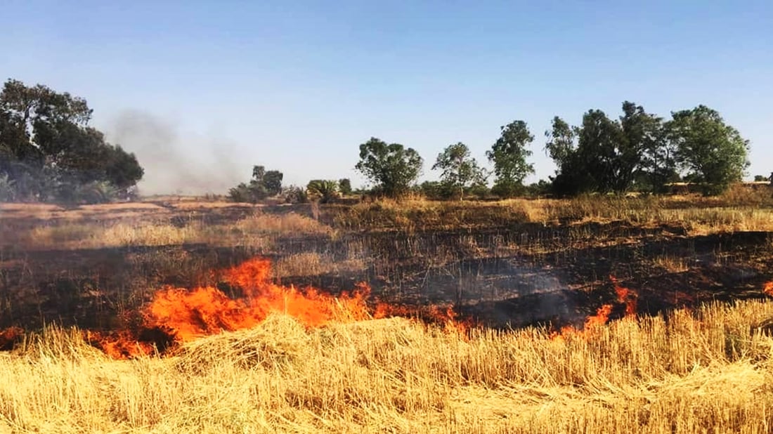 نه‌كه‌ن جاڕه‌ گه‌نم و په‌رێزه‌كانتان مه‌سوتێنن
