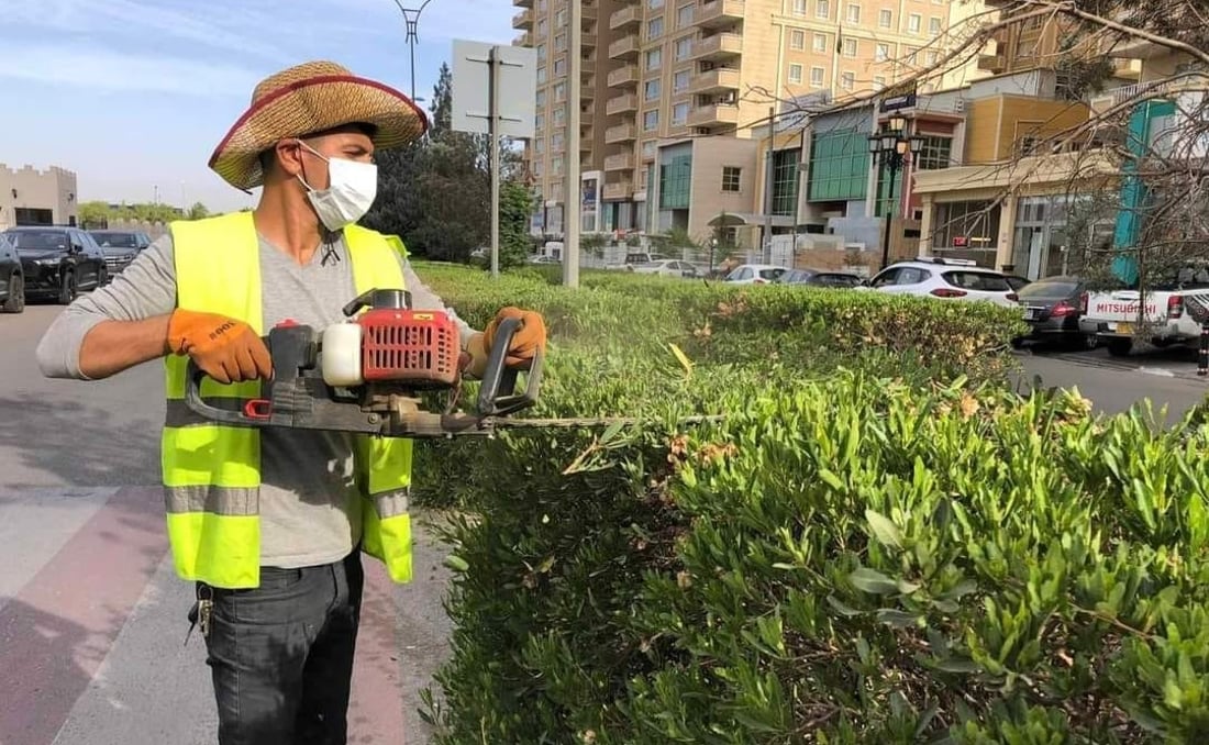 دار و درەختی زیاتر لە 24 شەقام و باخچەی هەولێر جوان کران