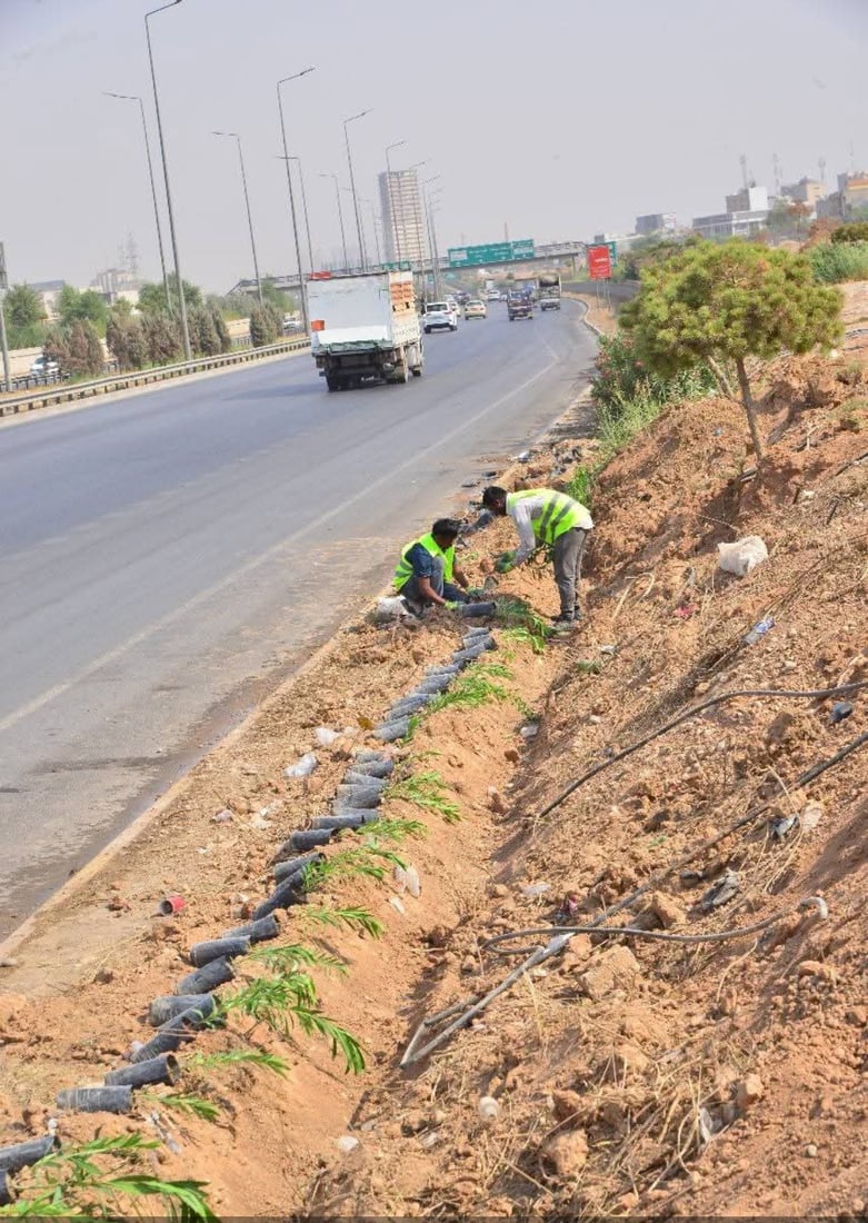 شه‌قامی 120 مه‌تری هەولێر سه‌وزتر ده‌كرێت