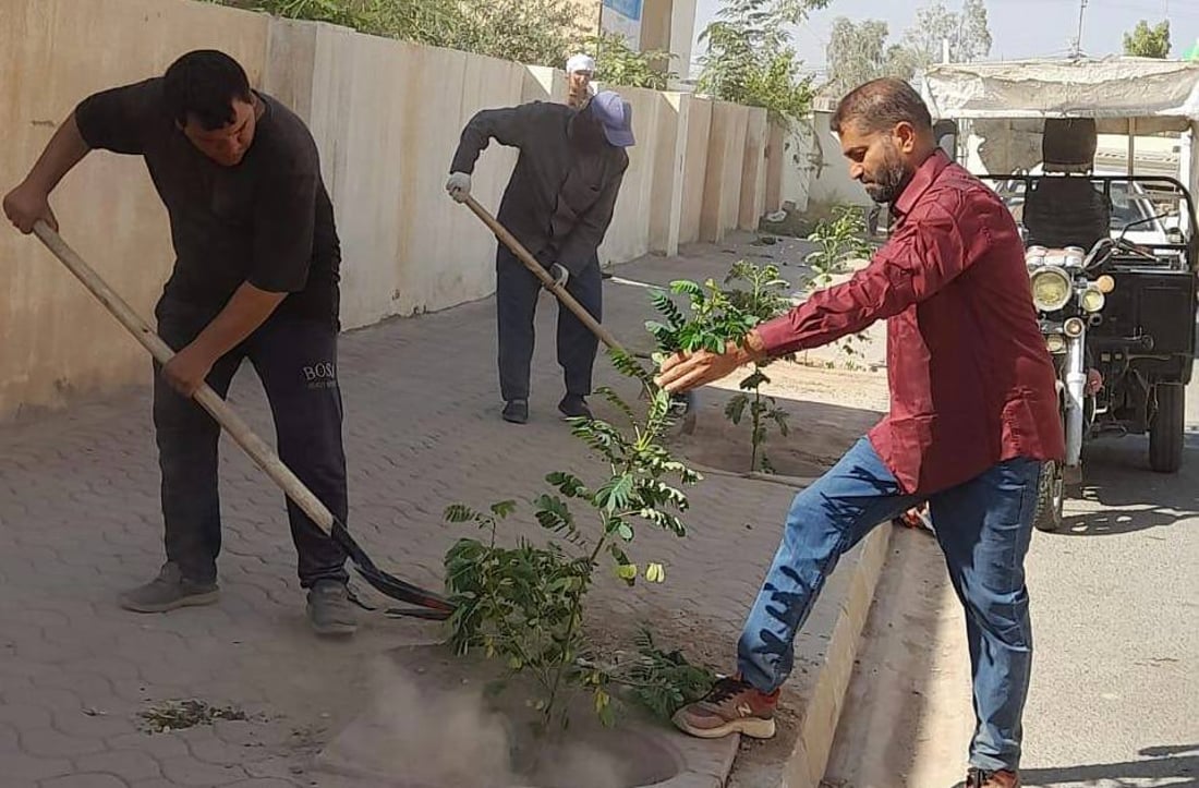 داقوق: حملة زراعة بدأت من “الثقلين” وحي الموظفين ولن تتوقف (صور)