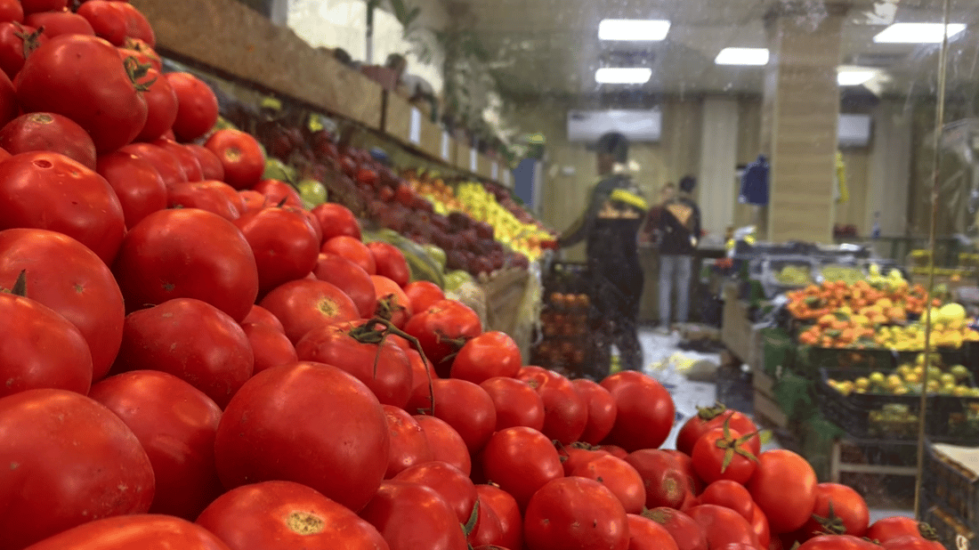 بغداد: أسعار الخضار الى النصف بسبب الموسم الزراعي الشتوي