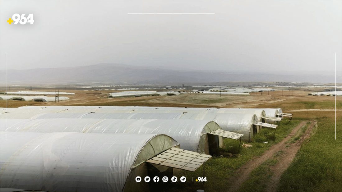 له‌ گوندێکی ئاکرێ رۆژانه‌ سێ تۆن خەیار بەرهەم ده‌هێندرێت