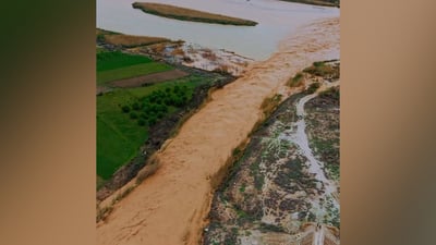 وادي حوران يفيض بالمياه.. أمطار غزيرة حولته إلى نهر هائج