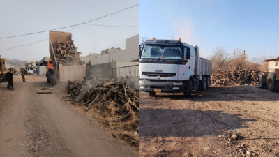 دوو گەڵابە و دووتەنییەک داری سروشتی بڕییەوە؛ دەستگیر کرا